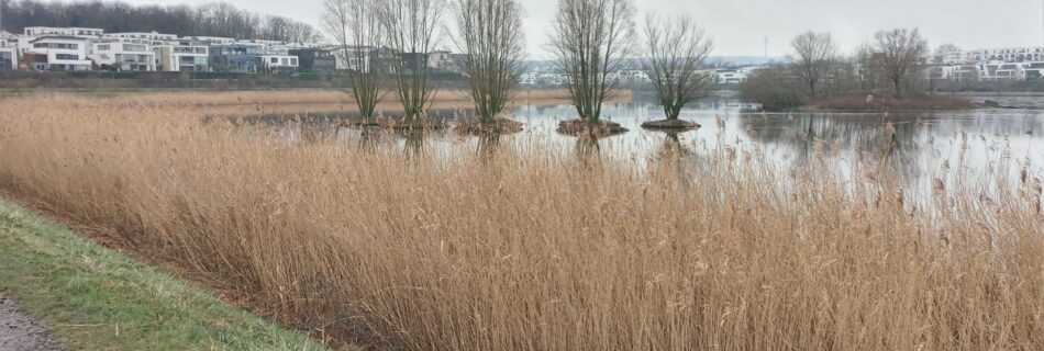 Impressionen vom Phoenixsee