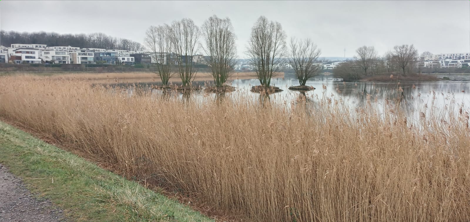 Impressionen vom Phoenixsee