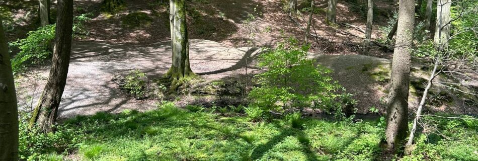 Impression von der Wanderung um den Ruheforst in Hagen