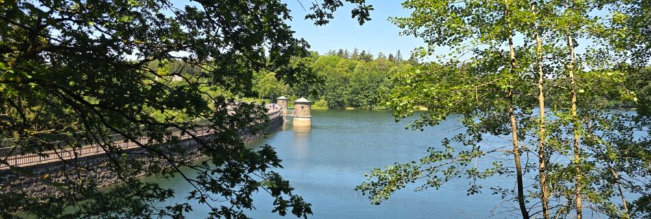 Impression von der Wanderung an der Neyetalsperre in Unterburg