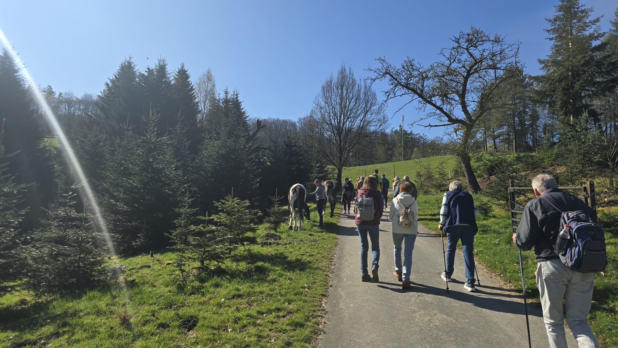 Impressionen auf der Wanderung durch die Elfringhauser Schweiz.