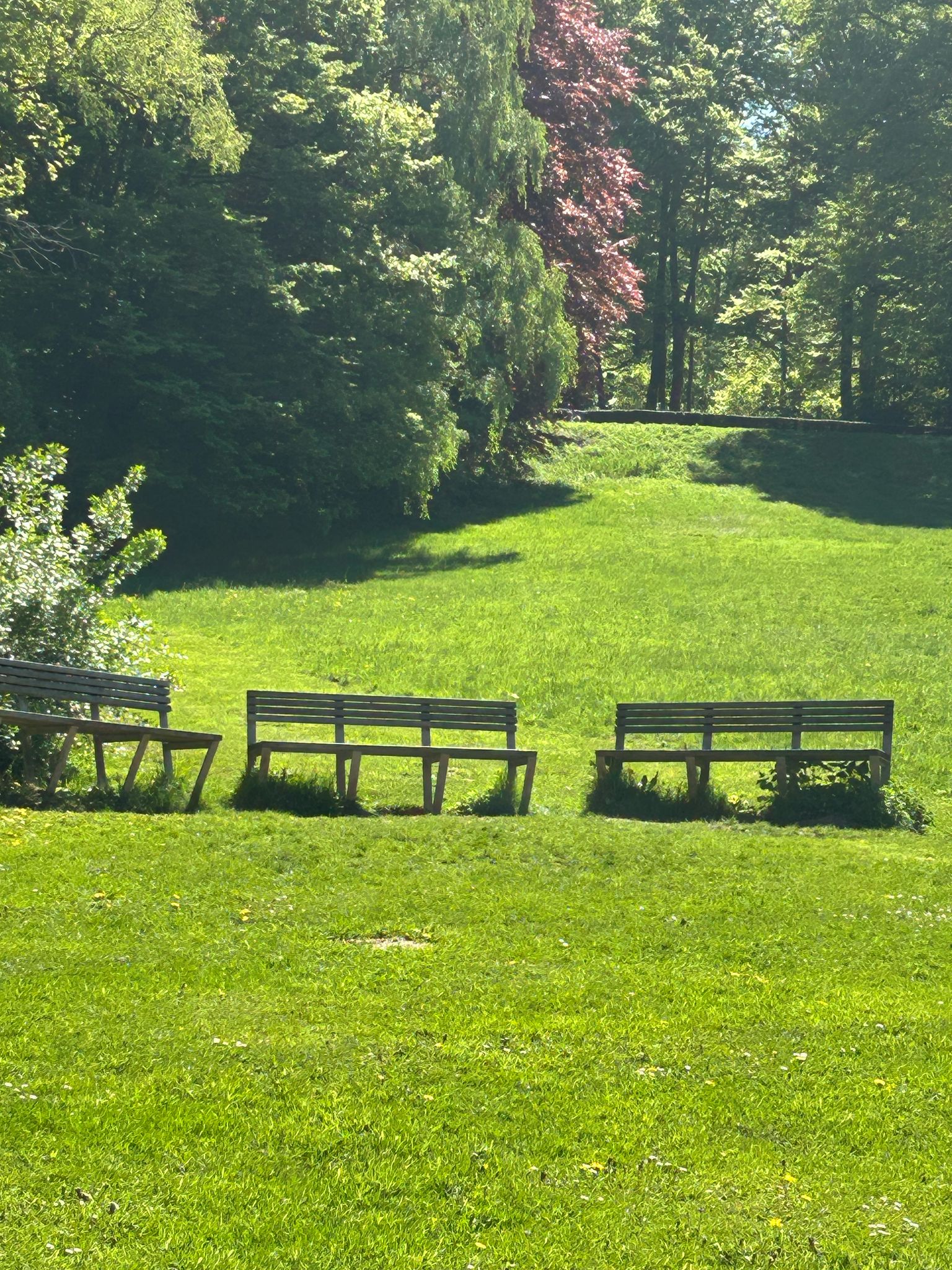 Impression der Wanderung durch die Barmer Anlagen in Wuppertal.