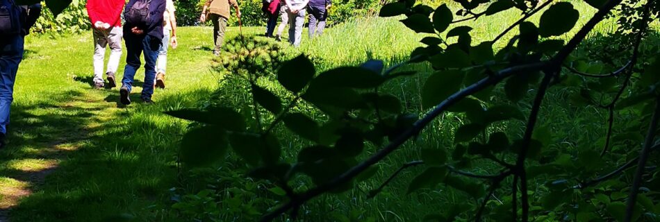 Impression der Wanderung durch die Barmer Anlagen in Wuppertal.