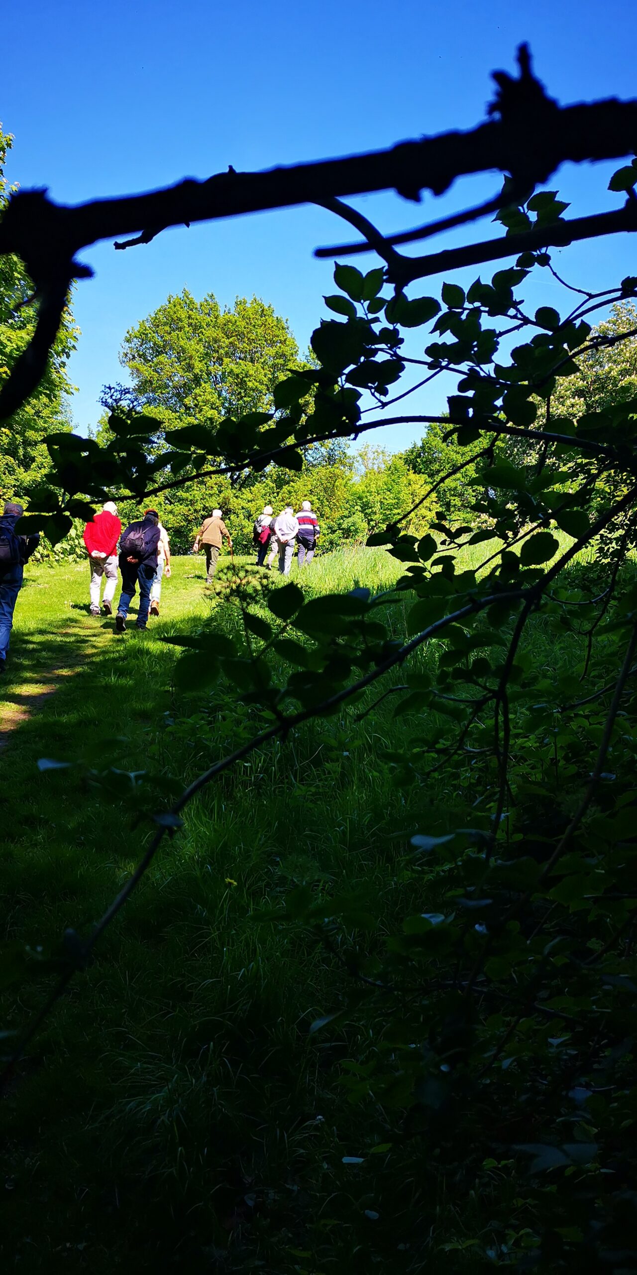 Impression der Wanderung durch die Barmer Anlagen in Wuppertal.