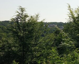 Schloß Burg