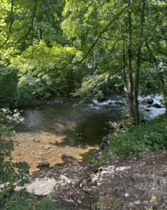 Impression an der Ennepe in Haspe