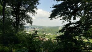 Blick aus dem Wald auf Haspe
