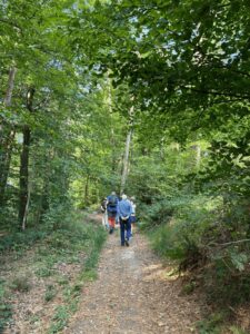 Wanderimpression im Wald
