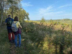 Blick ins Waldreiche Sauerland
