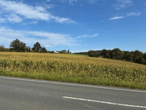 Landschaftsimpression mit Windrad