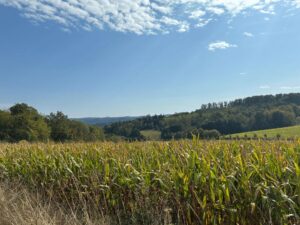 Landschaftsimpression