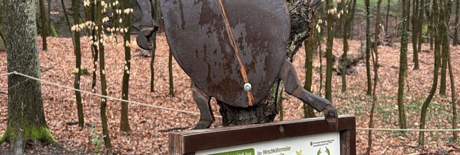 Modell eines Hirschkäfers im Wald